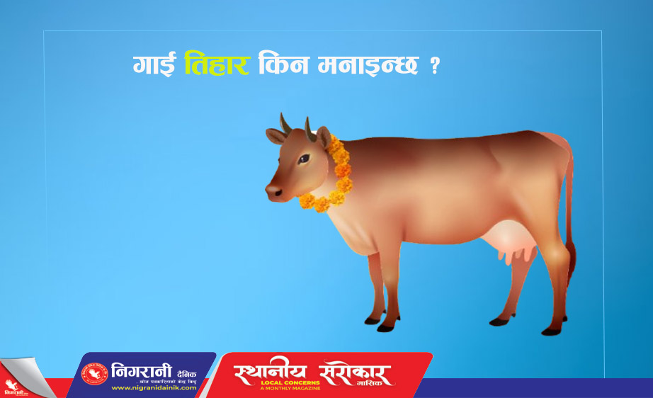 गाई तिहार किन मनाइन्छ ?