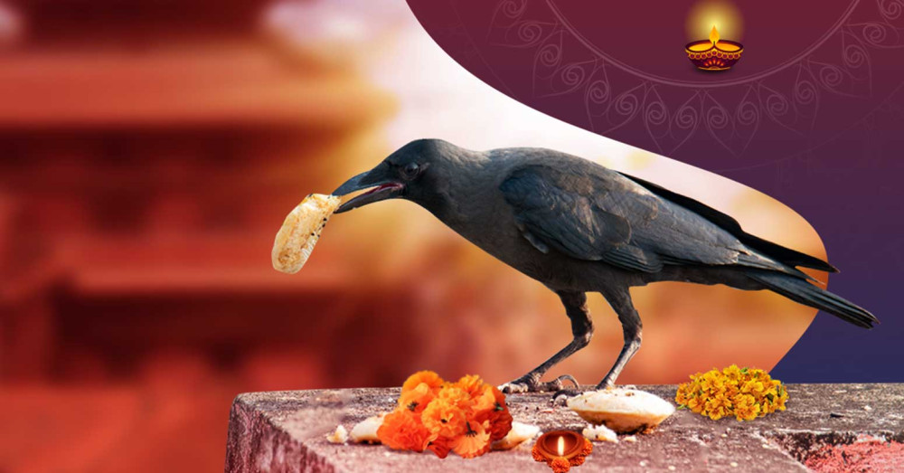 आज काग तिहार : यस्तो छ पूजा गरिनुको कारण